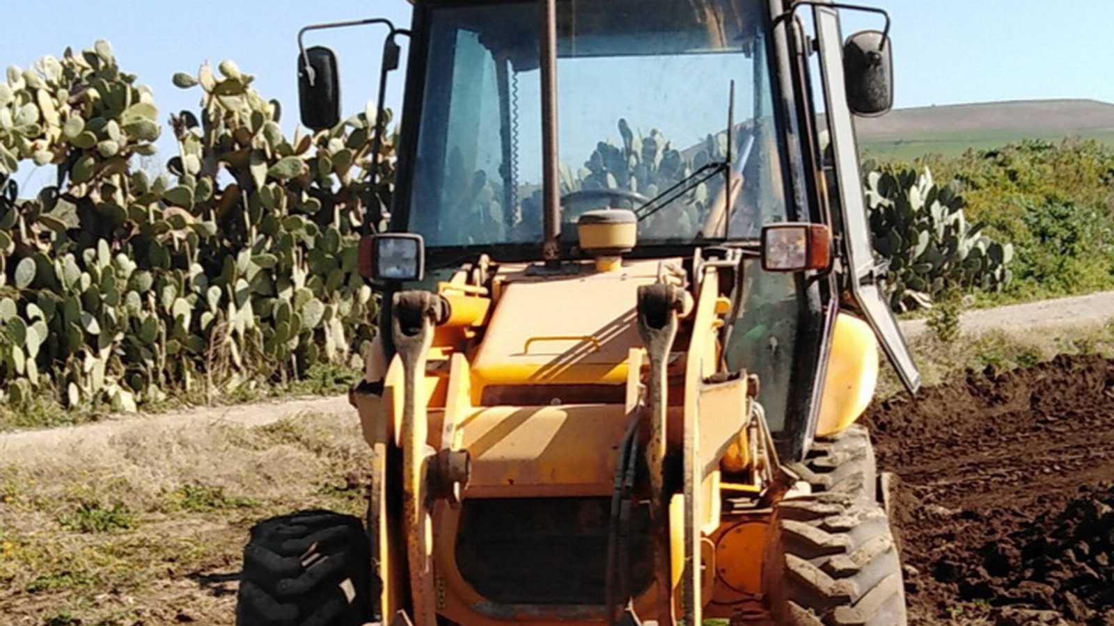 OmecoHub - Immagine 4